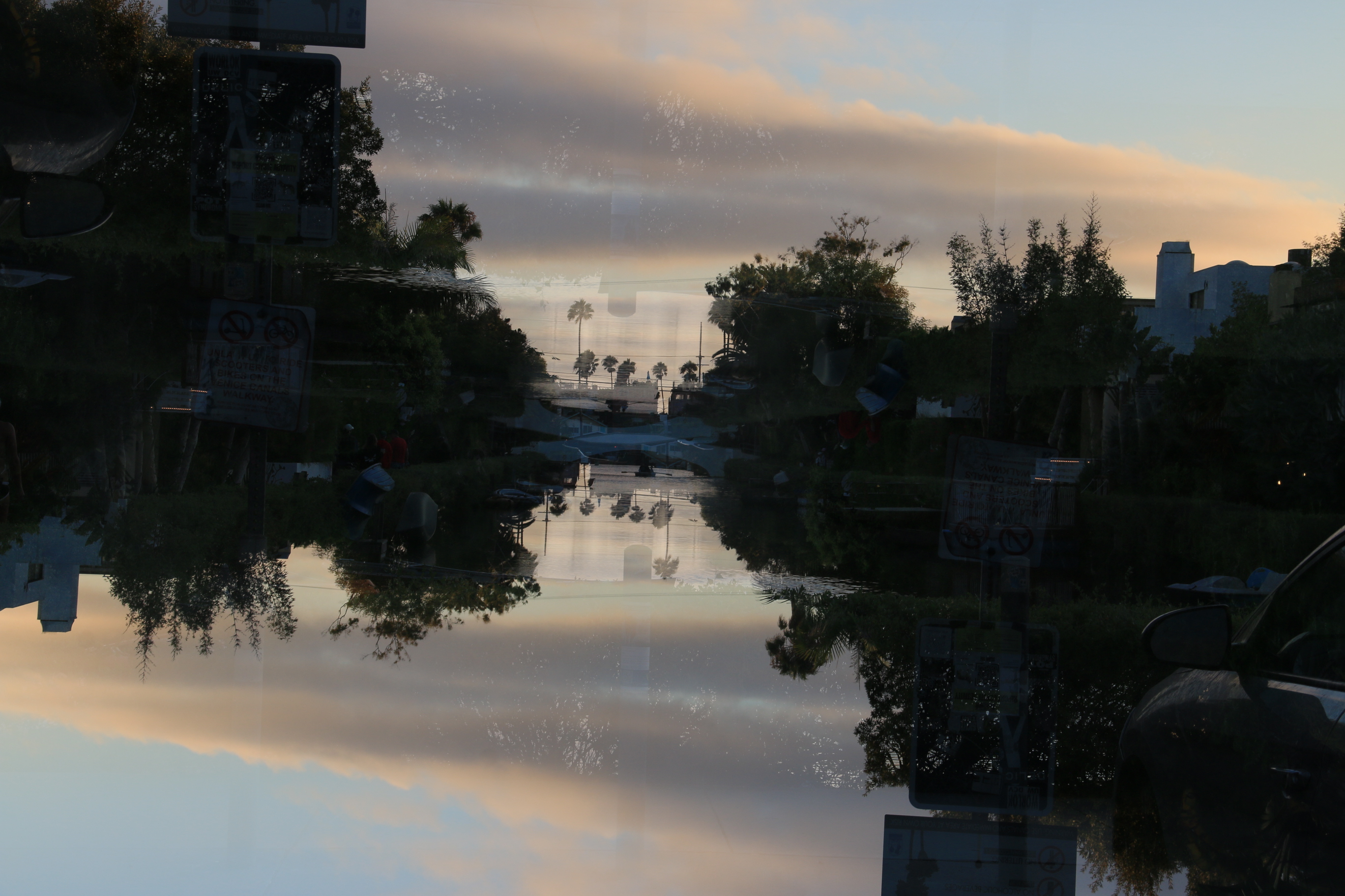 Palm trees and beachfront silhouettes reflected in a digital multi-exposure