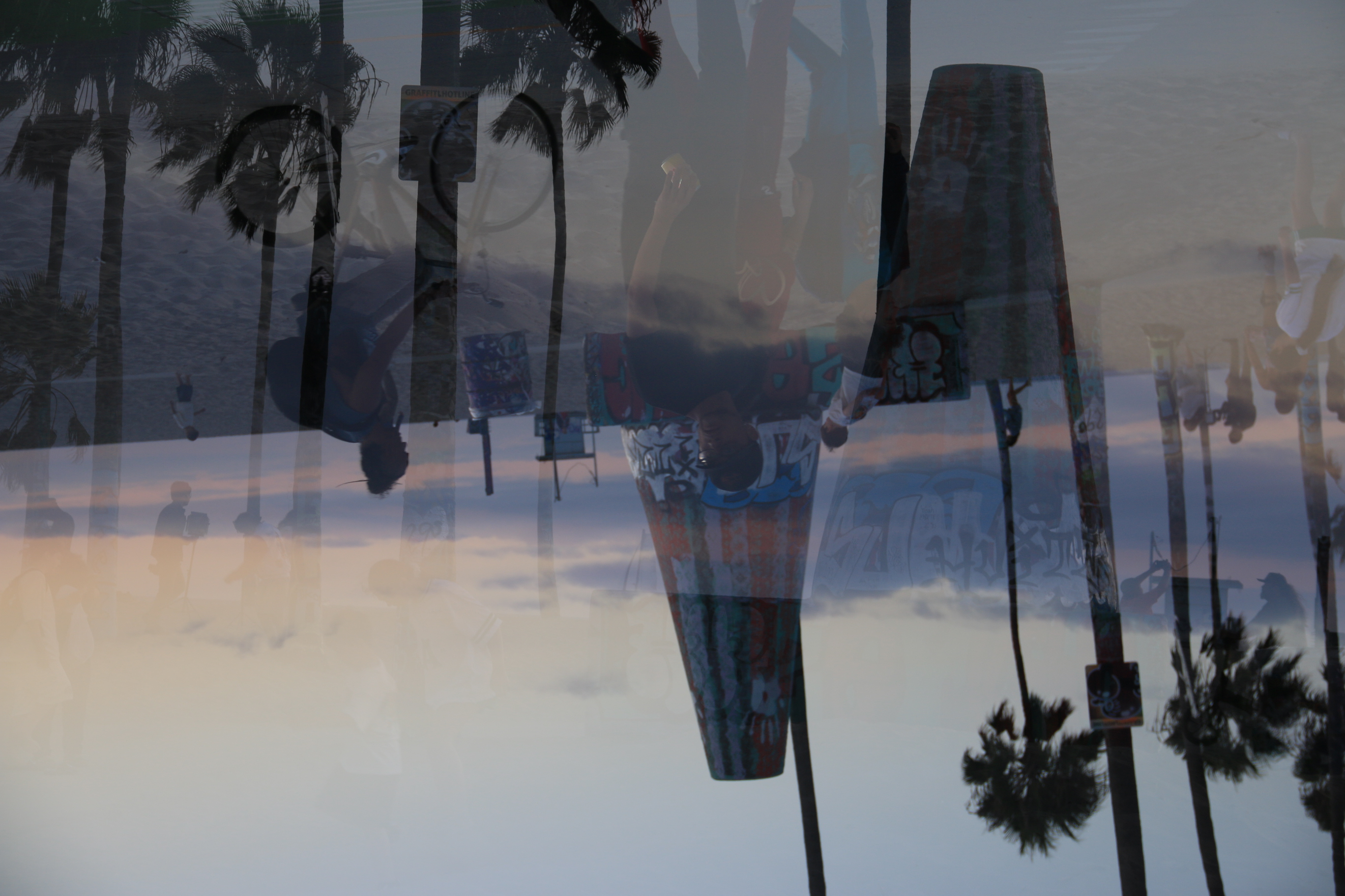 Venice Beach palms and waterfront silhouettes mirrored at dusk